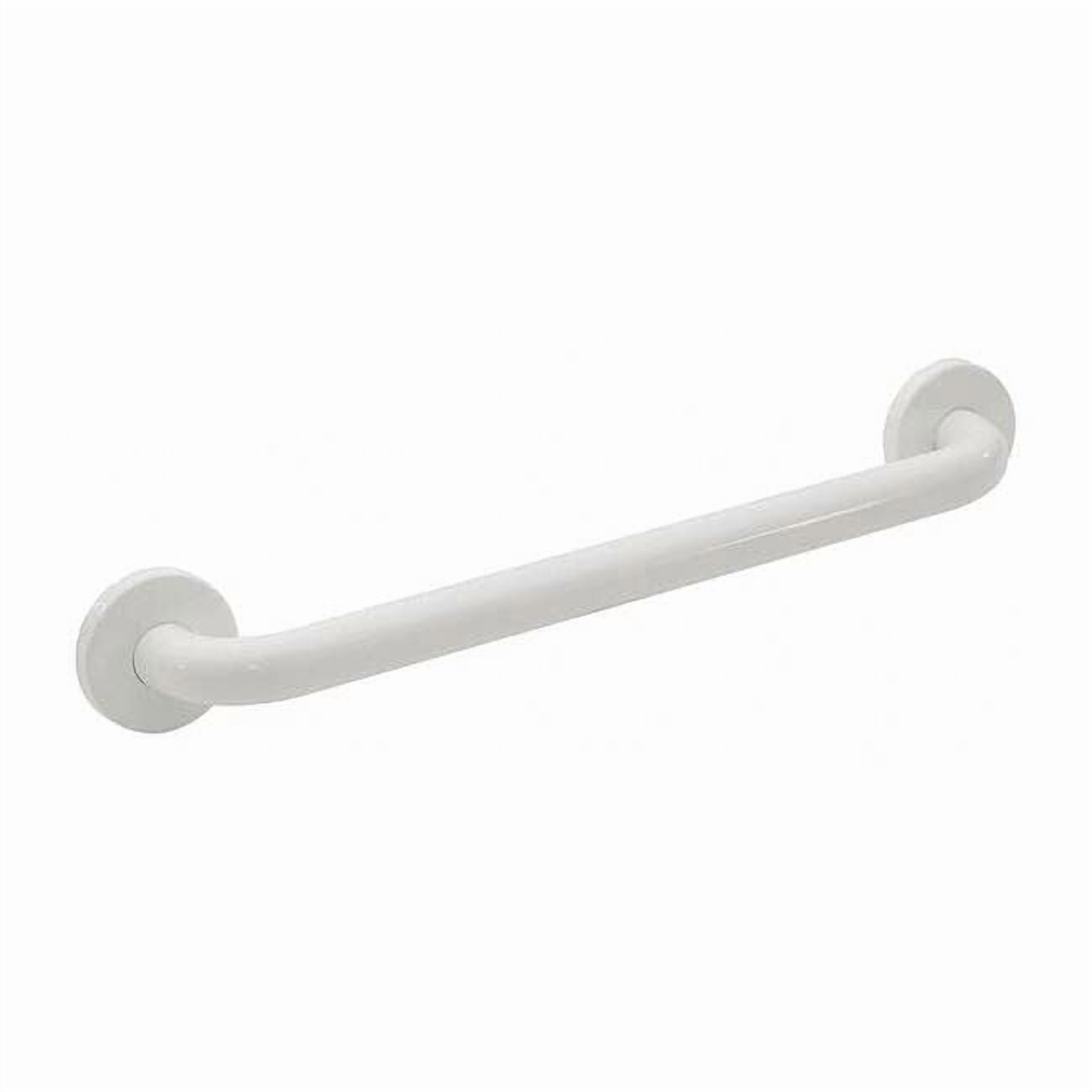 Polyester Painted Premium Grab Bar, 24" L, Stainless Steel, Polyester Painted WGB5YS24WH