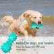 thumbnail image 5 of ZHAOCHENG Cepillo de dientes para perros, juguete para masticar, palo de limpieza de dientes de goma resistente a las mordeduras para perros pequeños y medianos, azul, 5 of 5