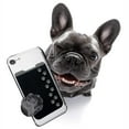 thumbnail image 4 of Gecko Travel Tech Phone Wallet - Stick On Card Holder Wallet for Cell Phones - Adhesive Card Pocket - DOG PAW BLACK, 4 of 4