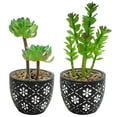 thumbnail image 1 of uds simulación de plantas suculentas en macetas, pequeños adornos creativos, plantas verdes artificiales, decoración interior, 1 of 5