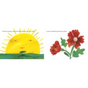 The Very Clumsy Click Beetle (Board Book)