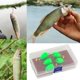 thumbnail image 1 of Juego de moscas atadas, aparejos de trucha, Streamer, moscas con giratoria/lanzador, señuelo , cebo Artificial, de moscas F Baoblaze Surtido de moscas de pesca, 1 of 8