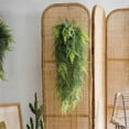 thumbnail image 3 of Faux Artificial Asparagus Setaceus Hanging Fern Plant, 3 of 9