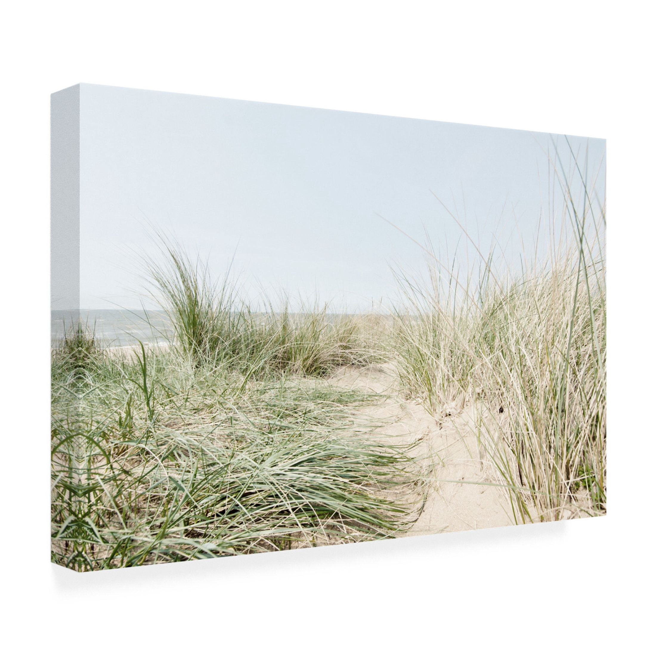 Canvas Wall Art - Tom Quartermaine 'Dunes Path to the Sea' Wall Art for Living Room, Bedroom, or Office Décor by Trademark Fine Art - 32 x 22 Inches