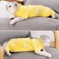 thumbnail image 2 of Cat Surgery Recovery Suit, E-Collar Alternative, Pet Surgical Pajamas Long Sleeve Prevent Shedding Recovery Snugly Suit for Abdominal Wounds After Surgery, 2 of 6