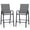 Grey, variant on Biotree Set of 2 Outdoor Bar Stools 29-Inch Fabric Patio Bar Chairs with Armrests Inclined Backrest, Beige