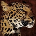 thumbnail image 2 of Leopard Poster Print by Jace Grey (12 x 12), 2 of 2