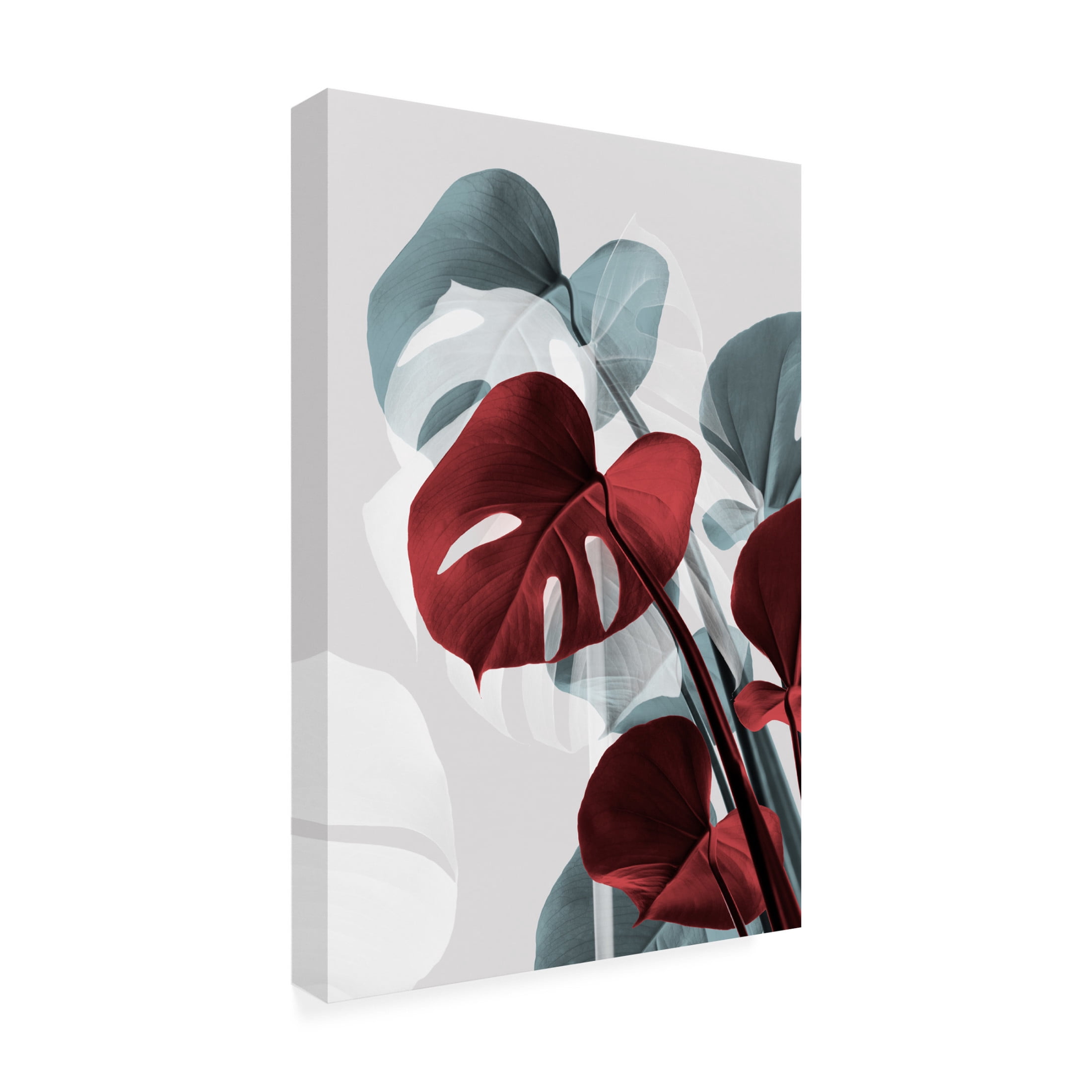 Trademark Fine Art Pictufy Studio Monstera Creative 15 Canvas Wall Art