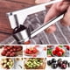 thumbnail image 2 of Herramienta Portátil Utensilios De Trabajo Deshuesador Pesado De Acero Para Cocina 403 Deshuesador De Aceitunas Y Cerezas Cocina, Comedor Y Bar, 2 of 8