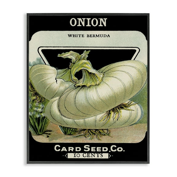 Stupell Industries Vintage Garden Onion Food & Beverage Painting Black Framed Art Print Wall Art, 11 x 14