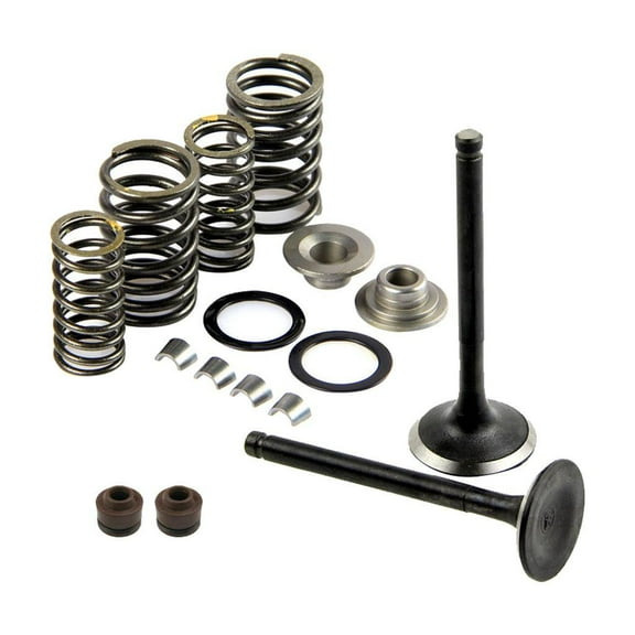 Assembly Set Intake Exhaust Spring for 125cc 150cc GY6 4-Stroke Motor Scooters
