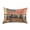 African Elephants and American Flag, variant on Dailycode Satin Pillow Case Standard Silk Pillow Cover for Hair and Skin Envelope Closure African Elephants and American Flag 20"x26"