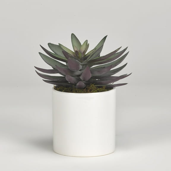 D&W Silks Frosty Green Echeveria in White Ceramic Planter