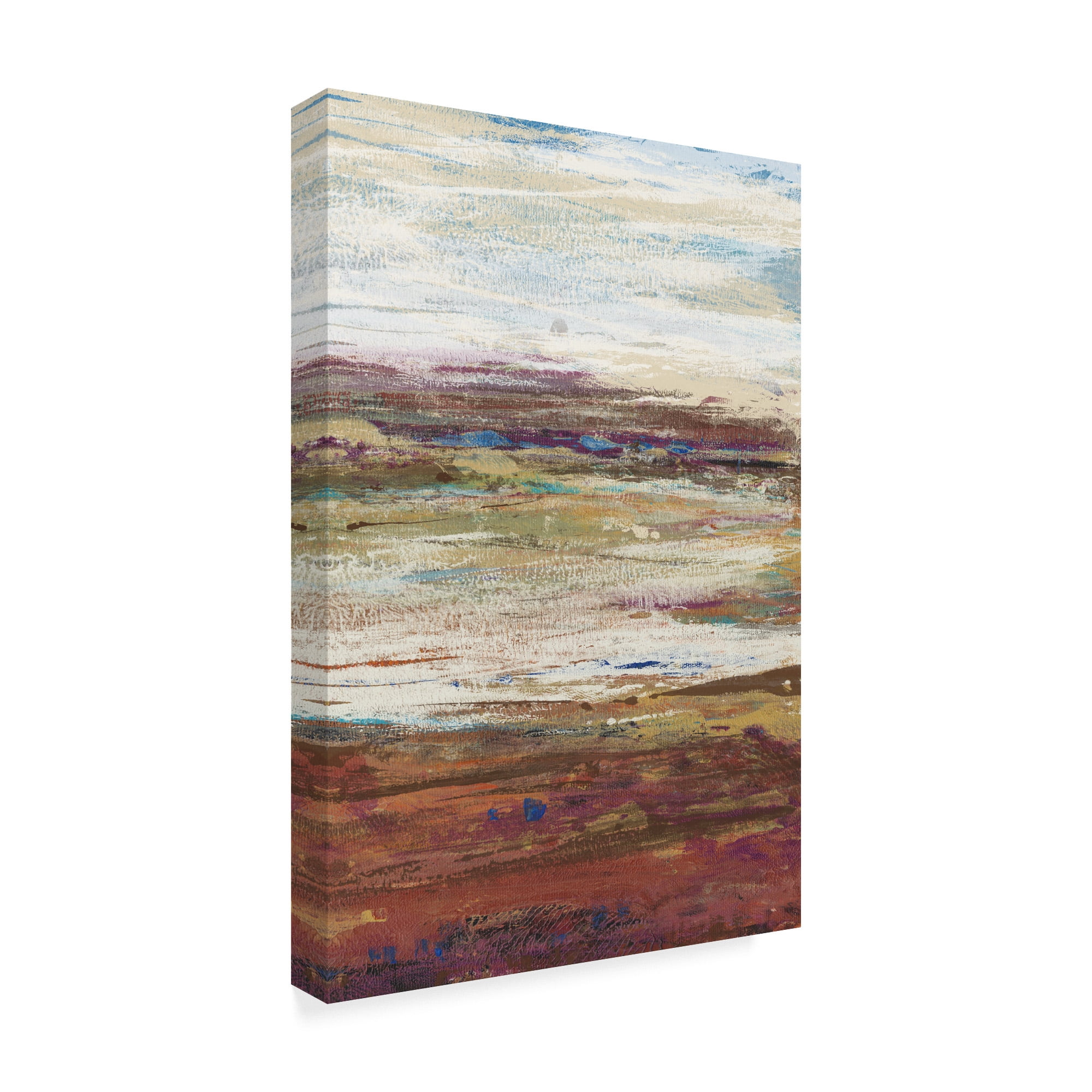 Trademark Fine Art 'Plum Vista III' Canvas Art by Tim OToole