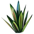 thumbnail image 1 of Hojas de Agave Bearachild 9 piezas Decoración del hogar, 1 of 6