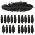 thumbnail image 5 of 20 X Natural Ostrich 25-30 Cm Black Party Decoration, 5 of 5