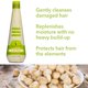 thumbnail image 4 of Natural Oil Smoothing Shampoo by Macadamia Oil for Unisex - 10 oz Shampoo Macadamia Oil Macadamia Oil, 4 of 6
