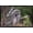 Black Framed Version, variant on The Comedy Wildlife Photography Awards: John Blumenkamp - Monday Blahs Wall Poster, 14.725" x 22.375"