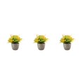 thumbnail image 4 of Decodeary Green Eco-friendly Artificial Money Tree In Pot Long-lasting Durability Realistic Appearance orange rose 3Set, 4 of 6