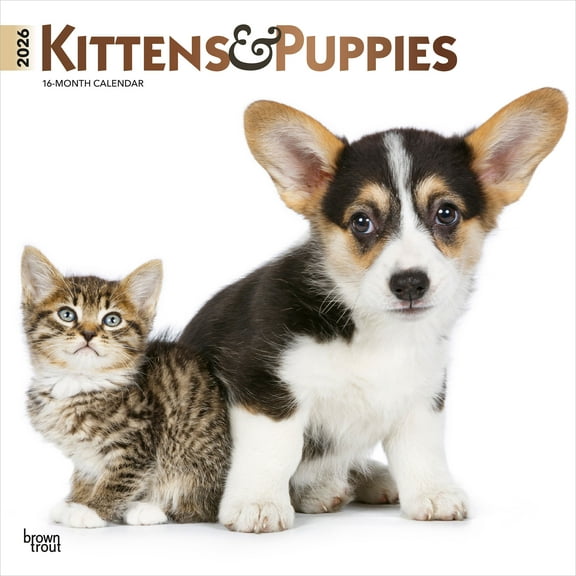 Kittens & Puppies | 2026 12x24" (Hanging) Square Wall Calendar | Plastic-Free