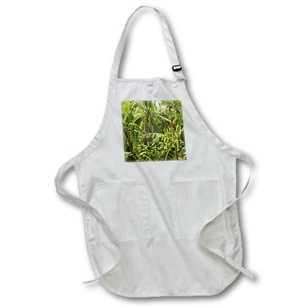 

3dRose Palm trees - Full Length Apron 22 by 30-inch Black With Pockets
