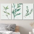 thumbnail image 3 of wall26 Canvas Print Wall Art Set Watercolor Retro Green Herb Collage Nature Floral Illustrations Realism Rustic Scenic Colorful Wilderness for Living Room, Bedroom, Office - 16"x24"x3, 3 of 5