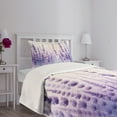 thumbnail image 4 of Ambesonne Lavender Quilted Bedspread Set 2 Pcs, Dreamy Purple Flowers Art, Twin Size, Blue Violet Ivory, 4 of 4