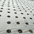 thumbnail image 5 of BAMILL 5-Holes Gardening Flower Vegetable Plastic Perforated PE-Film Mulching Membrane, 5 of 8
