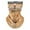 C, variant on Hearth & Gear Riding Animal Face Towel Cat Ear Wind Cycling for Men Dirt Bike Hat Cool Welding Caps Skis for Men Due Rags for Hair Girls Womens Summer Ski Women Warm Warm Weather No Saints Gear Youth