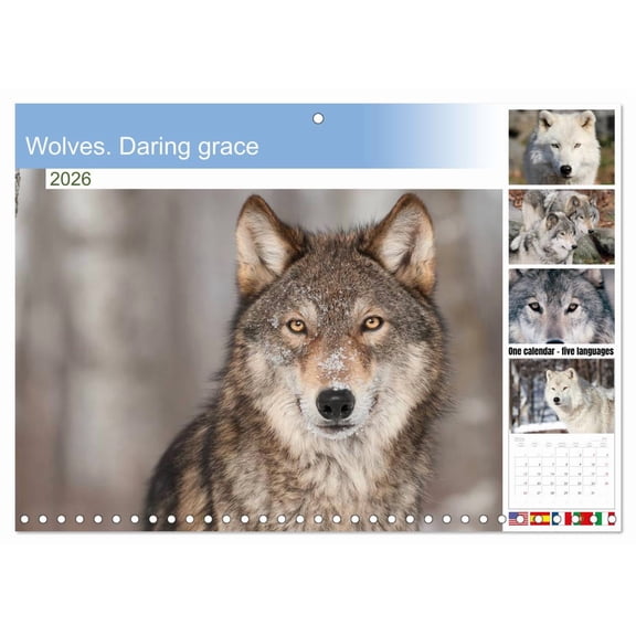 Wolves. Daring grace (Monthly Wall Calendar 2026 11.7 x 16.5 (open)), CALVENDO 14 Month Calendar