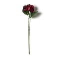thumbnail image 3 of 25" Hydrangea Stem by Ashland, 3 of 3