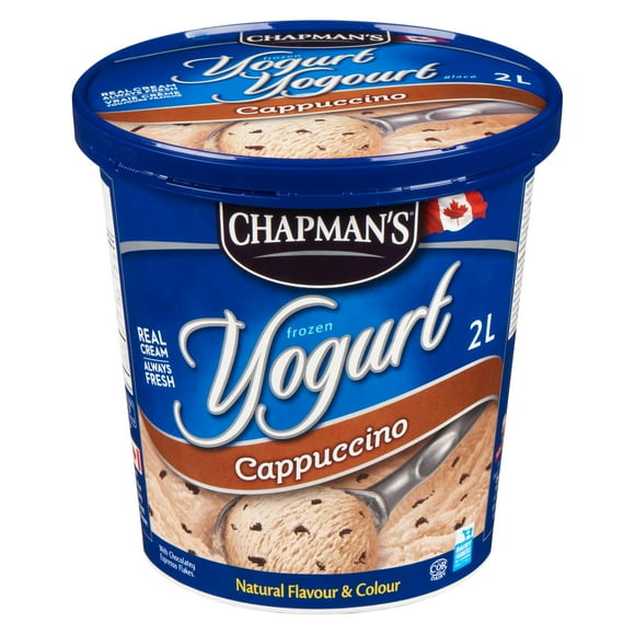 Chapman's Frozen Yogurt Cappuccino, 2L