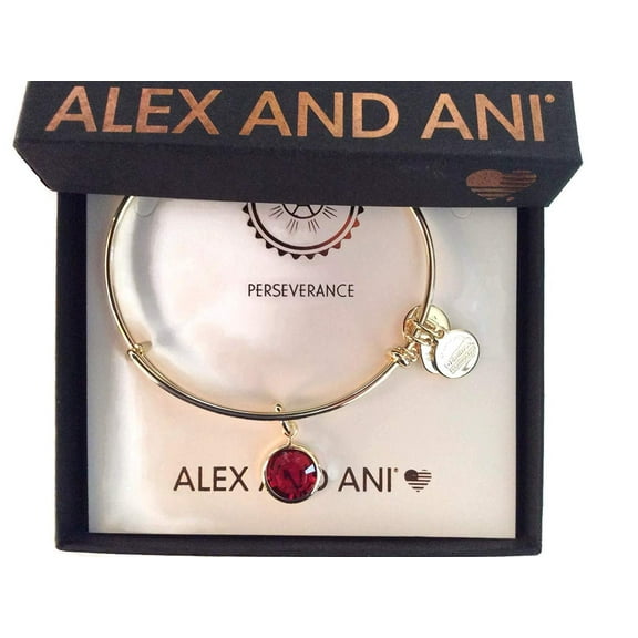 Alex and Ani January Charm Bangle Bracelet