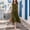 Army Green, variant on Womens Linen Summer Button Down Midi Dresses Sleeveless Round Neck Asymmetrical Hem Casual Summer Dress