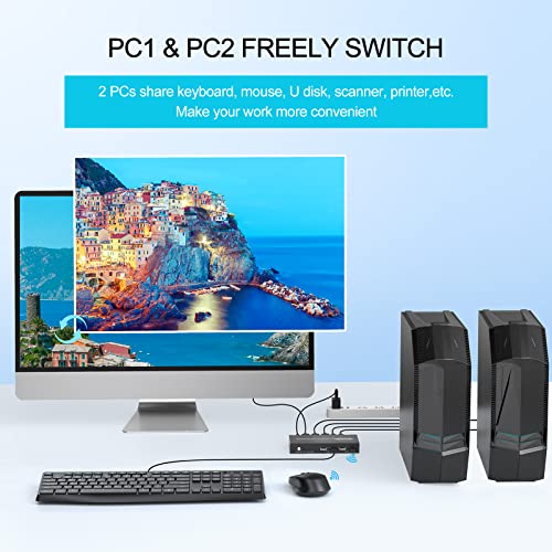 Buy KVM Switch HDMI 2 Port Box, Share 2 Computers with one Keyboard ...