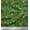 Forest Green, variant on Soimoi Black Cotton Voile Fabric Mathematical Symbol Print Fabric by Yard 42 Inch Wide