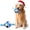 Soccer, variant on Dog Ball, Interactive Chewy Ball with Strap, Dog Toy, High Bounce, 4.33 inch, Blue Soccer