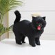 thumbnail image 1 of Juguetes de simución para gatos, accesorios de fotografía, juguetes de peluche para gatos, juguetes de animales de peluche para el hogar, estante, g Soledad Gato de simulación, 1 of 9