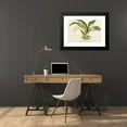 thumbnail image 4 of Charles Antoine Lemaire 24x18 Black Modern Framed Museum Art Print Titled - Zygopetalum (§ Warscewiczella) Marginatum (1854-1896), 4 of 5
