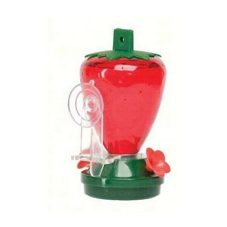 STRAWBERRY -12 OZ WINDOW MOUNT