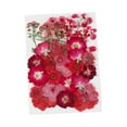 thumbnail image 2 of Flores prensadas secas, hojas prensadas, flores secas de boda, flores reales para manualidades de resina, manualidades de relleno de jarrones, manualidades florales, marcapáginas Estilo B BLESIY Flores secas prensadas, 2 of 8