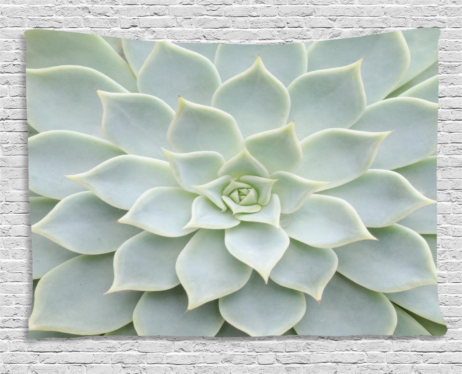 Cactus Decor Tapestry, Cactus Plant Flower Zoomed Photo Image Desert