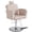 Grey, variant on KIGOTY Barber Chairs, Reclining Salon Chairs for Salon and Barbershop Hair Salon Spa Equipment, Styling Chair with Heavy Duty Hydraulic Pump, Black