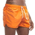 thumbnail image 1 of Pantalones cortos de playa para hombre, bañador de secado rápido con estampado, ropa de playa, surf, novedad de 2021 Fivean unisex, 1 of 2