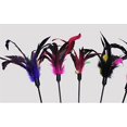 thumbnail image 4 of Imitation Feather Teaser with Bell Cat Toy Fishing Rod Cat Toys Wand for Cat Exerciser Playing - 3 Pcs Random Color, 4 of 9