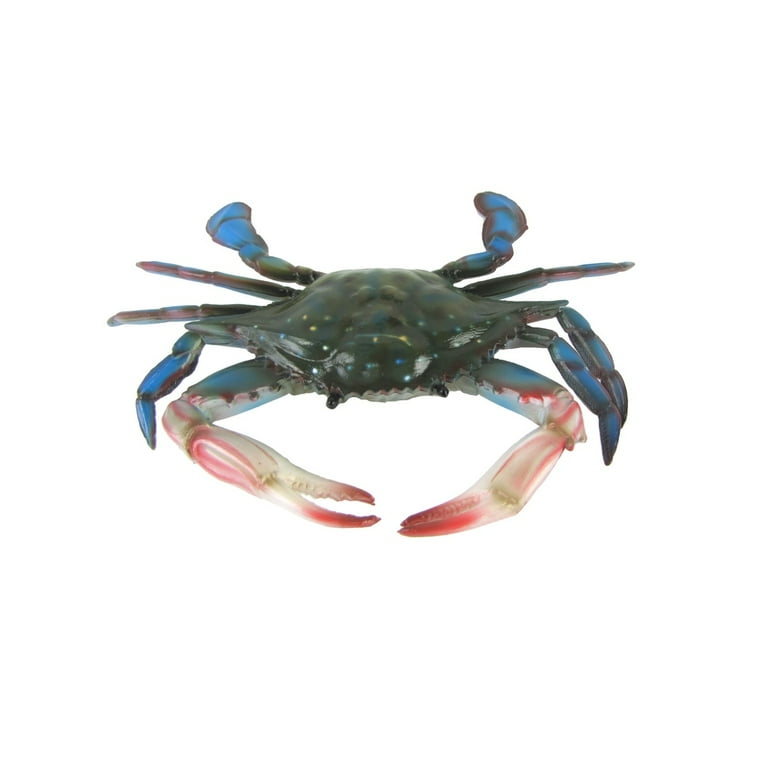 Lifelike Maryland Blue Crab Nautical Plaque Wall Mount Coastal Tiki Bar Decor Lifelike Maryland Blue Crab Nautical Plaque Wall Mount Coastal Tiki Bar Decor