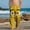 Yellow, variant on SGFCWSX Boys Lounge Pants Elastic Waist Loose Fit Soft Graphic Print Casual Pants for Kids Yellow Size 6 Years