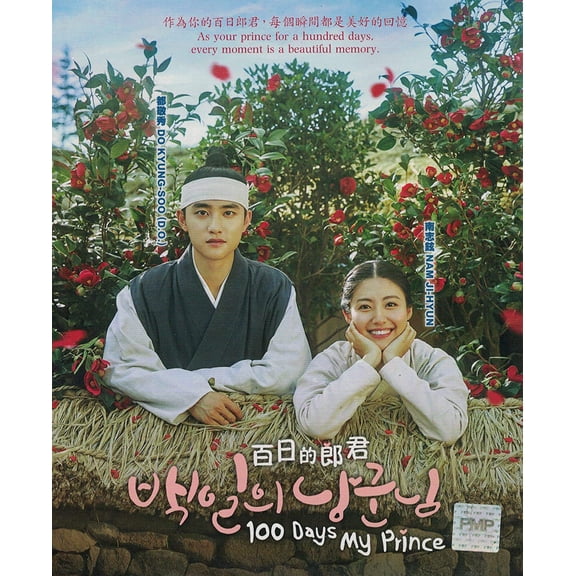 100 Days My Prince - Korean TV Drama DVD Boxset