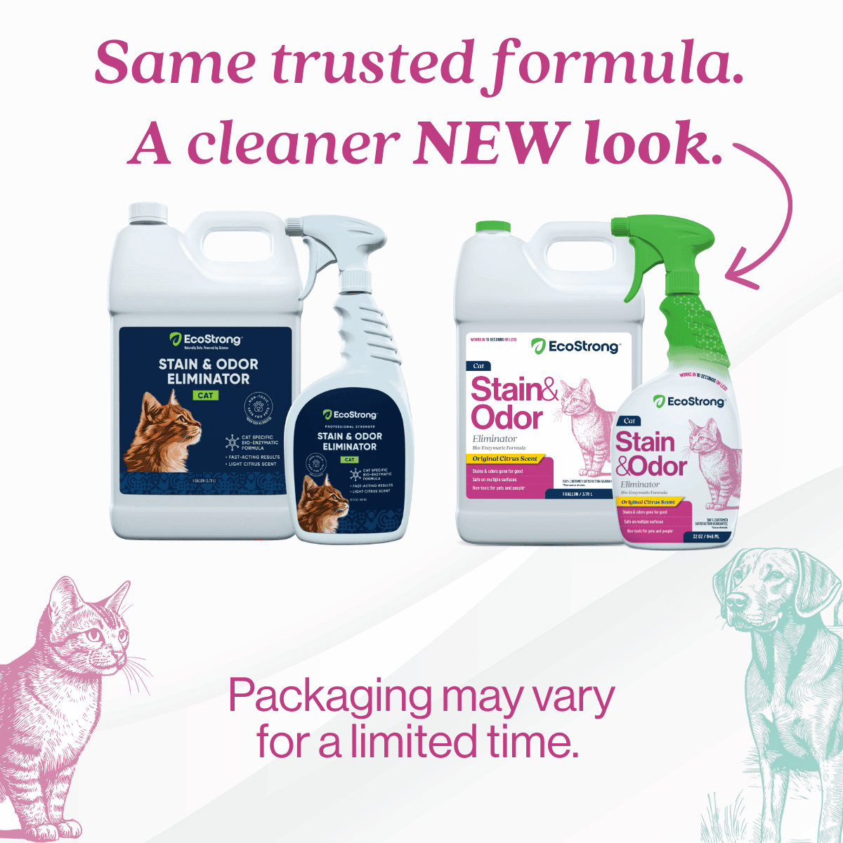 Cat Stain and Odor Remover: Enzyme Urine Odor Neutralizer - Stain Remover (32 oz and 1 Gallon)