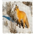 thumbnail image 3 of Ambesonne Fox Shower Curtain, Red Fox in Snowy Nature, 69"Wx84"L, Marigold Brown White, 3 of 3